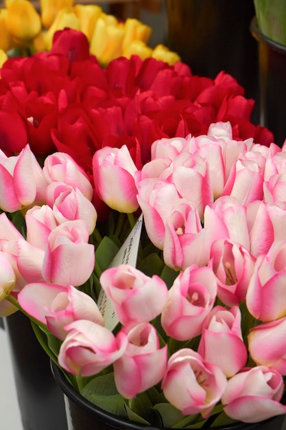 Holland, Amsterdam, Blumenmarkt, holländische Tulpen zum Verkauf