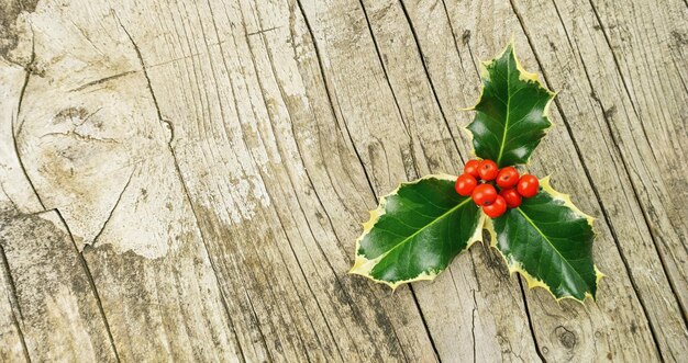 Holly ilex com frutas vermelhas em uma placa de madeira, incluindo espaço de cópia no lado esquerdo. ideal para layouts de sites e revistas