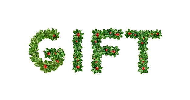 Holly With Berry Letters alfabeto Holly Leaves com bagas dentro