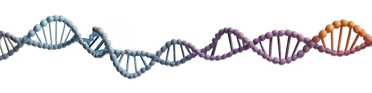 Foto holograma de dna em sala de aula vazia fundo biotecnologia e conceito genético