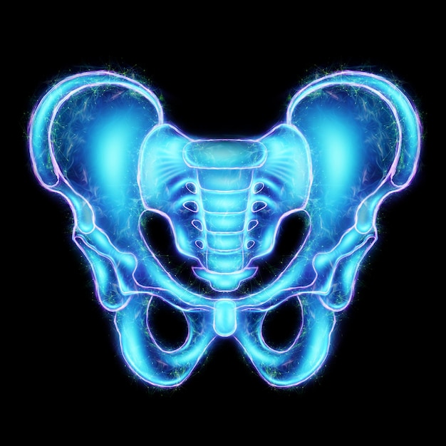 Holograma imagen de ultrasonido vista anterior del sacro de la pelvis masculina aislado en un fondo negro Anatomía medicina conceptos científicos Representación 3D Ilustración 3D