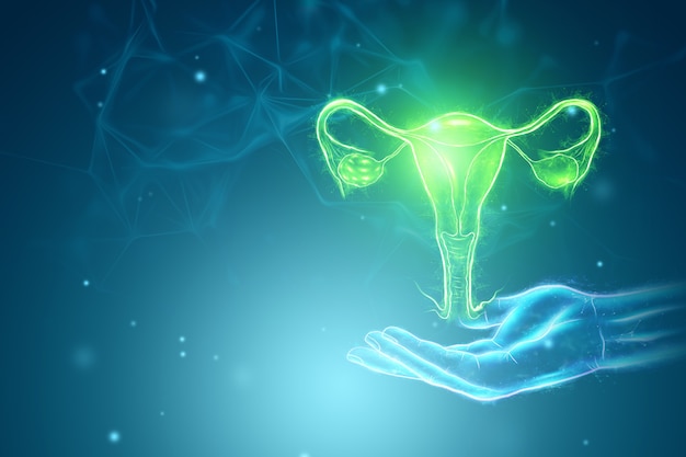 Holograma del órgano femenino del útero. Concepto de ultrasonido, ginecología, obstetricia, ovulación, embarazo. Ilustración 3D, render 3D.