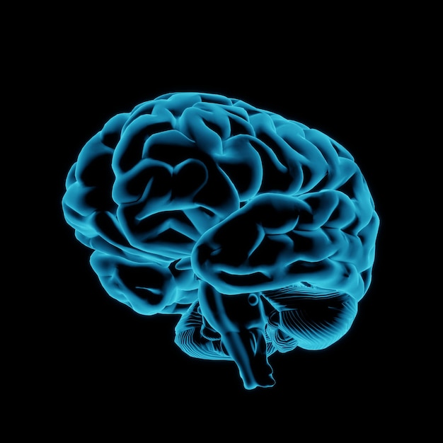 holograma resplandor azul luz cerebro humano aislado sobre fondo negro. concepto de cerebro de inteligencia