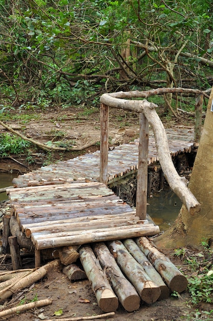 Holz alte Brücke