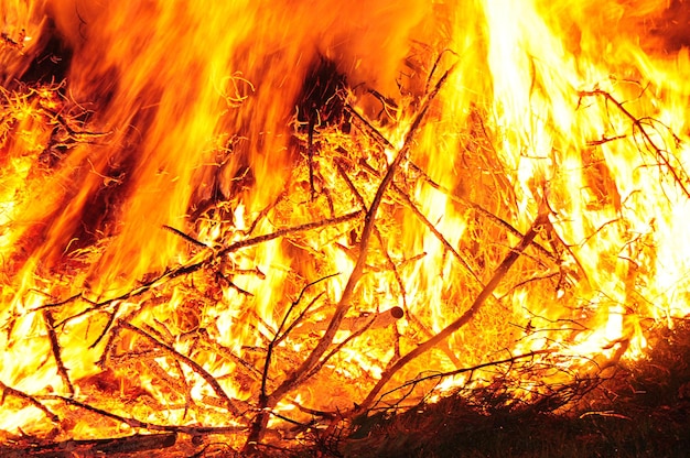 Foto holz brennt nachts im wald