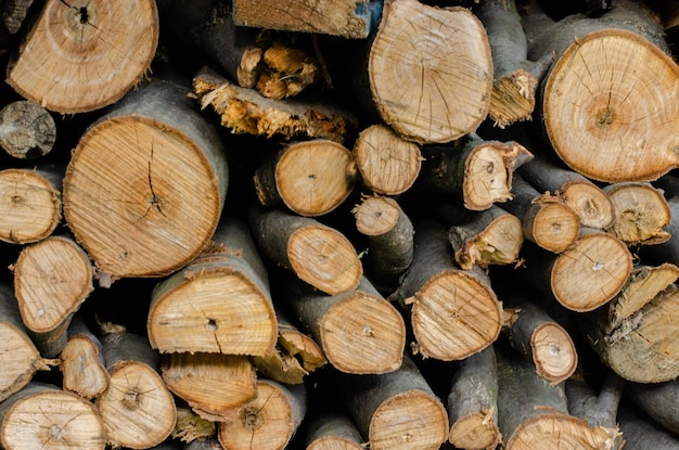 Holz Geschnittene Bäume Holzstruktur