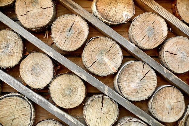 Holz geschnittene Protokolle