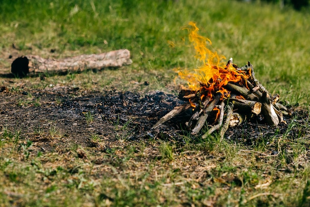 Holz in der Natur verbrennen