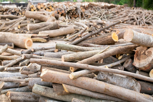 Holz in Schichten angeordnet, Stapel von Holzstämmen bereit für die Industrie.