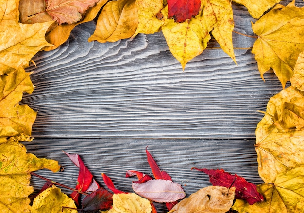 Holz mit Rahmen aus Herbstlaub