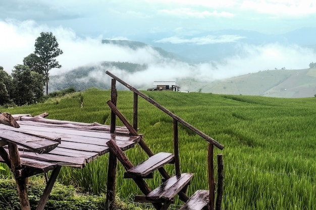 Holz terassenförmig angelegt mit Reisfeldern und Bergblick im bewölkten Himmel