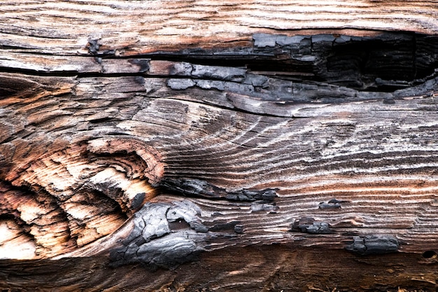 Holz Textur. Hintergrund alte Platten