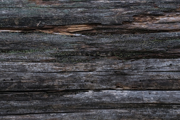 Holz Textur Hintergrund