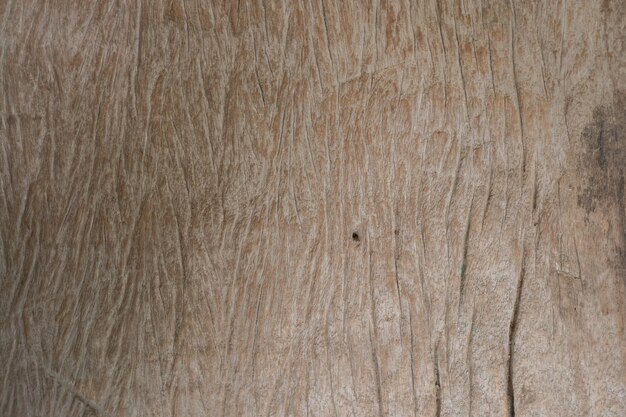 Holz Textur Hintergrund