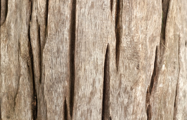 Holz Textur.