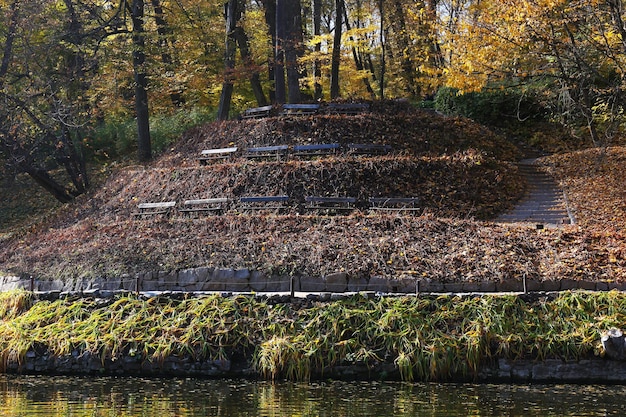 Holzbänke im Park im Herbst