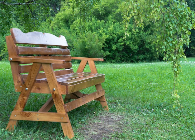 Holzbank im Park auf dem Rasen