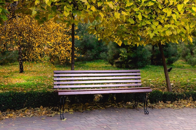 Holzbank im Stadtpark im Herbst