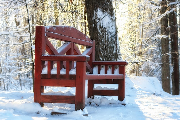 Holzbank im Winter