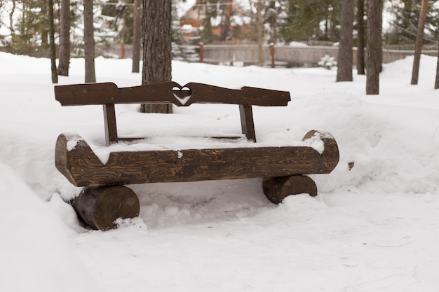 Foto holzbank im winterpark