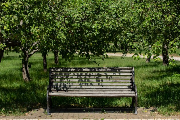 Holzbank in einem großen Garten