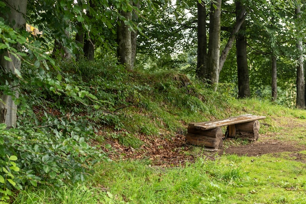 Holzbank - Ruheplatz in der Nähe von Holz