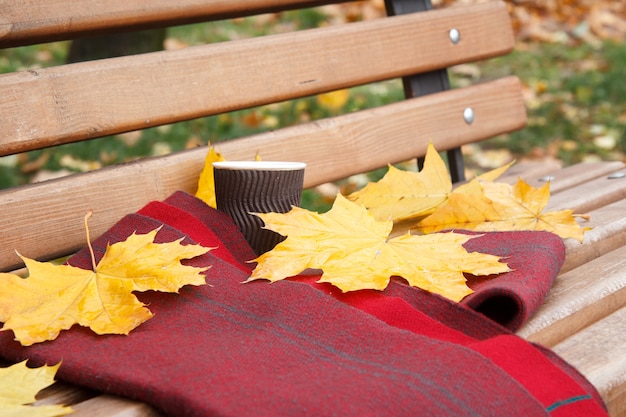 Holzbank und Tasse Kaffee, Schal, gelbe trockene Blätter im Stadtpark. Herbst. Thema.