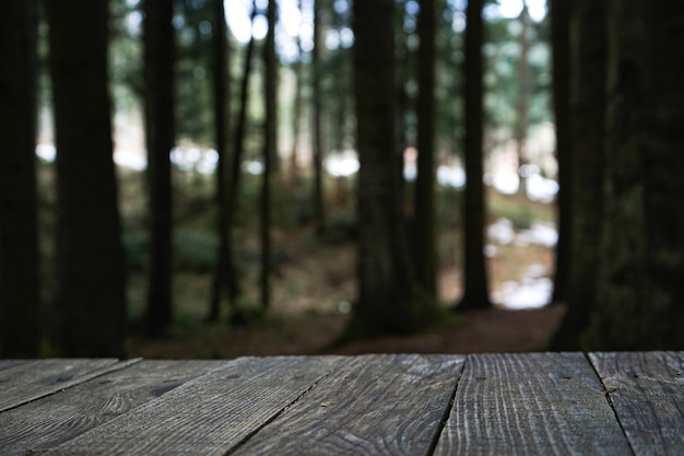 Holzboden auf Wald