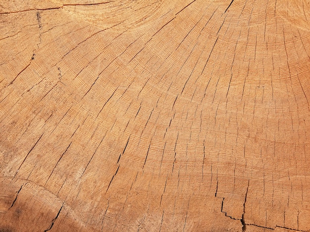 Holzboden mit einer schönen Textur