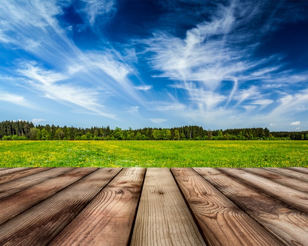 Holzbohlenboden und Sommerwiese