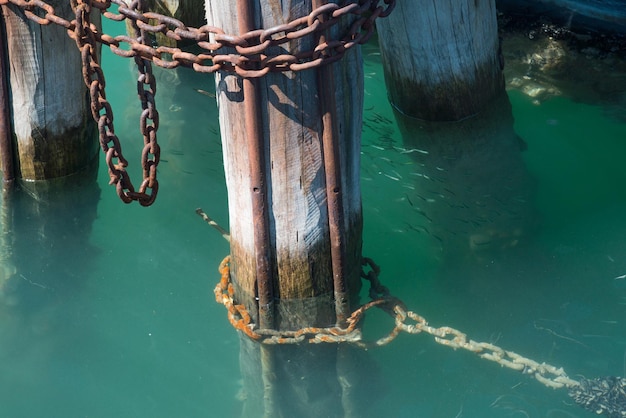 Holzbojen auf dem Canal Grande