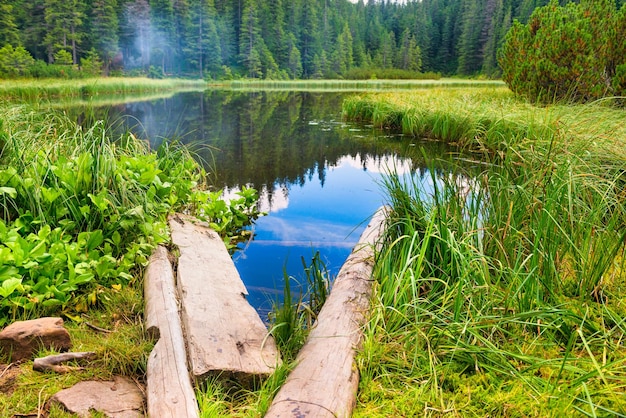 Holzbrücke im blauen See