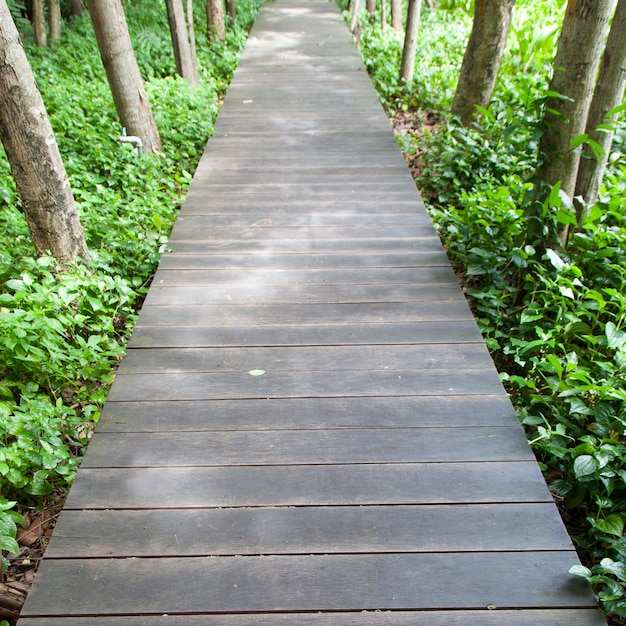 Holzbrücke im Park