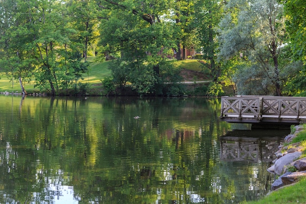 Holzbrücke im Park