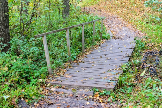 Holzbrücke im Wald bedeckt mit Herbstlaub. Herbstlandschaft nahe dem blauen See. Kasan, Russland.