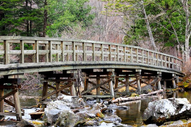 Holzbrücke im Wald