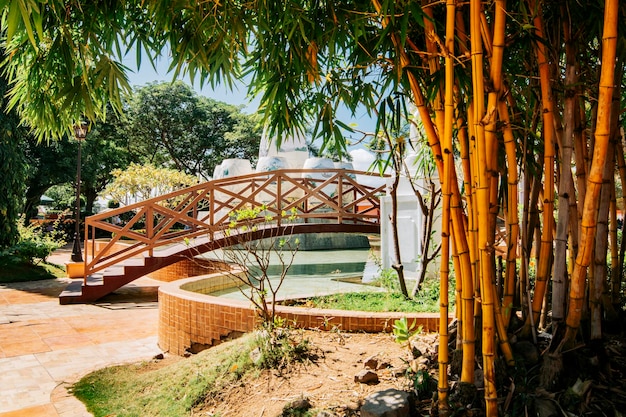 Holzbrücke in einem Park über Wasserbrunnen, umgeben von Bambus Seitenansicht einer kleinen Holzbrücke über einem Wasserbrunnen in einem ruhigen Park Nagarote Central Park Nicaragua