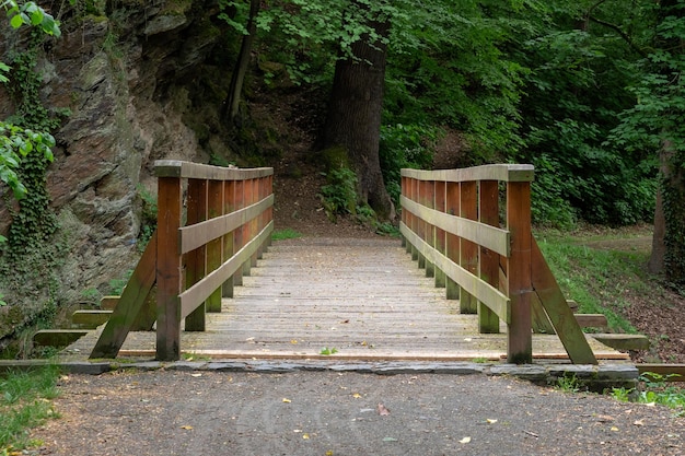 Holzbrücke mit Bäumen im Hintergrund