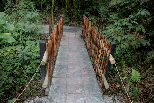 Holzbrücke mit Gehweg zur Natur in den Bergen