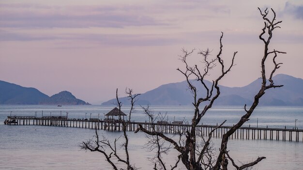 Holzbrücke Mit Pier Seehafen