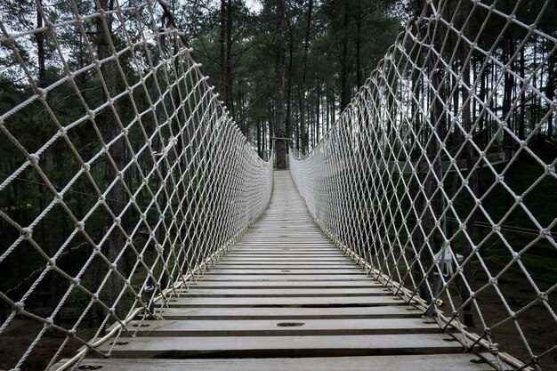 Holzbrücke mit Seil befestigt