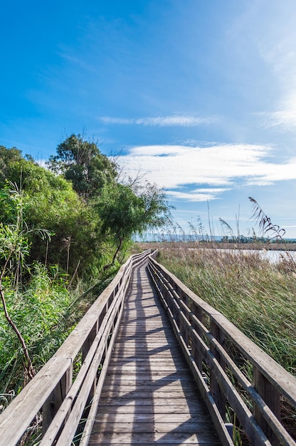 Holzbrücke mitten in der Natur