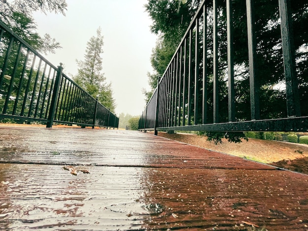 Foto holzbrücke nach dem regen