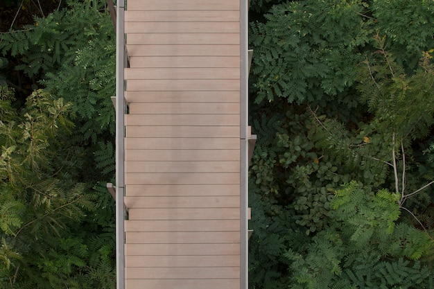 Holzbrücke über Baum