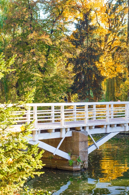 Holzbrücke über dem Fluss im Park