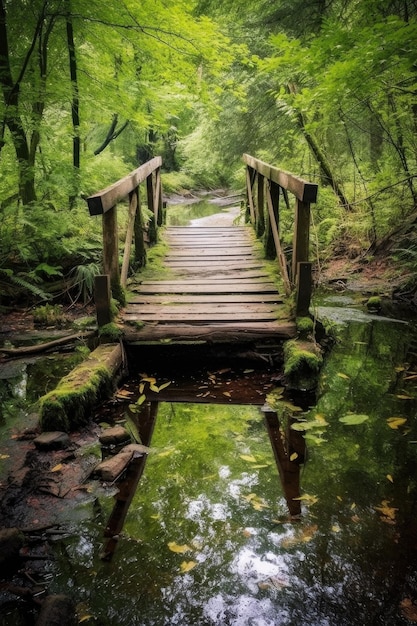 Holzbrücke über einen ruhigen Bach