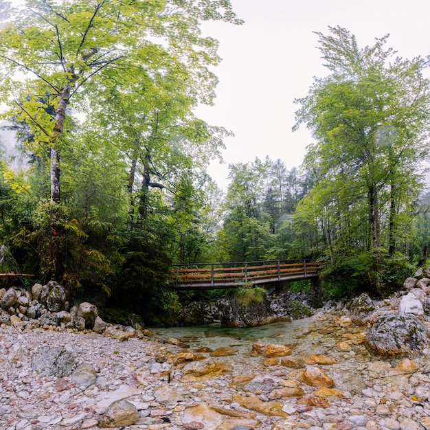 Holzbrücke über Gebirgsfluss