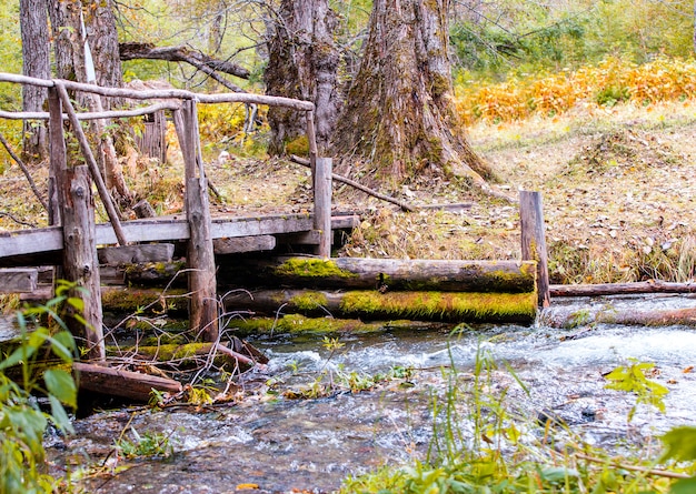 Holzbrücke über Strom im Wald.