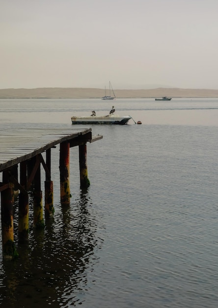 Holzdeck Pelikane und Boote an einem nebligen Tag am Strand von Paracas Ica Peru