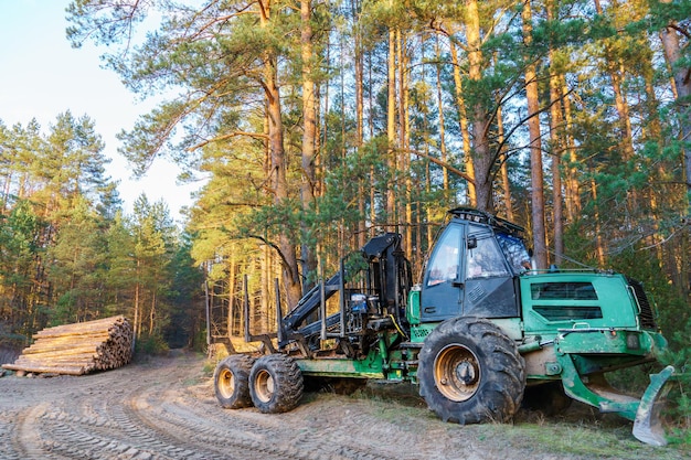 Holzeinschlagsausrüstung im Wald, Verladung von Stämmen für den Transport, Ernte und Lagerung von Holz im Wald, Transport von frisch gefällten Stämmen für die Forstindustrie